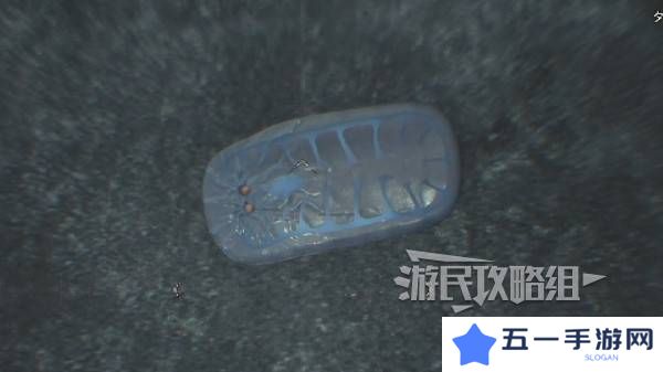 怪物猎人荒野大虚无动在哪捕获    大虚无动捕获攻略图片8