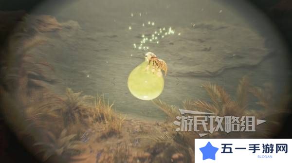 怪物猎人荒野大回复蜜虫位置在哪  大回复蜜虫捕获路线图片5