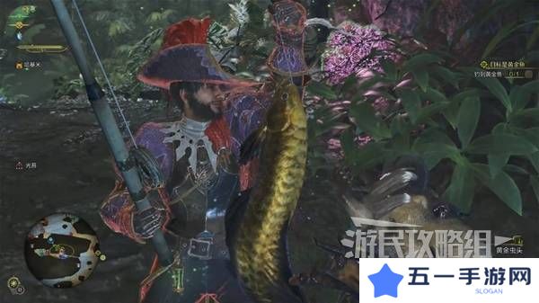 怪物猎人荒野黄金鱼怎么钓    钓黄金鱼位置一览图片6
