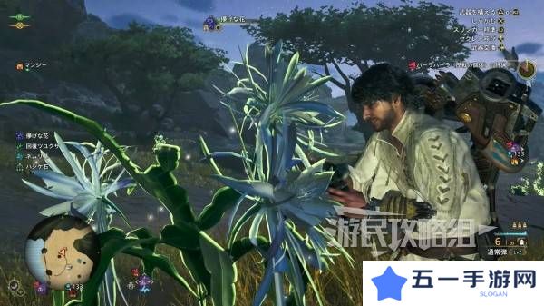 怪物猎人荒野一夜花的月华粉位置及获取途径一览