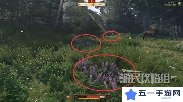 天国拯救2图文攻略大全   所有任务全流程攻略总汇图片29