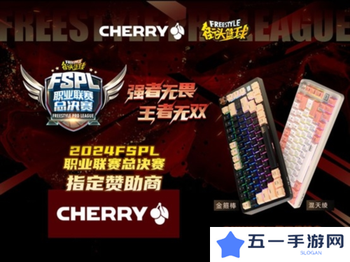 王者无双 CHERRY赞助2024FSPL职业联赛总决赛