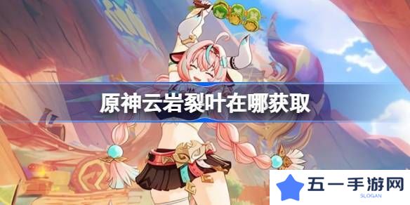 原神云岩裂叶采集路线分析 云岩裂叶位置分享[多图]