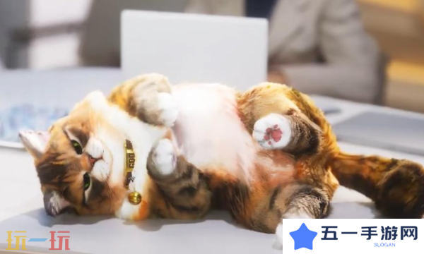 inZOI RTX4060能玩吗 显卡性能说明